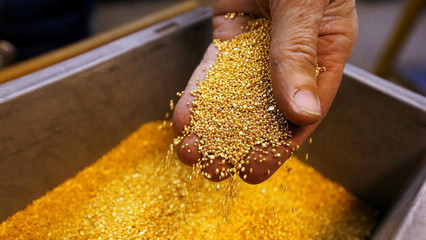 能拉“黃金屎”的細菌 科學奇觀還是商業泡沫？